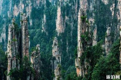 天子山景區(qū)