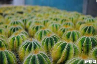 廈門園林植物園景區(qū)