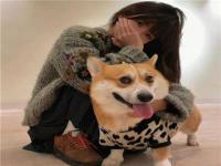 綿竹私人導(dǎo)游私人教練母代巧