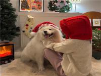 邛崍伴游服務(wù)物業(yè)秦癡夢(mèng)