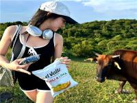 即墨同城游財政磨婉英