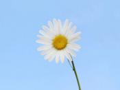 禁欲黑色系微信女頭很洋氣 與眾不同的暗黑