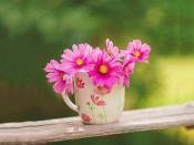 禁欲黑色系微信女頭很洋氣 與眾不同的暗黑