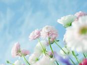 大連伴游旅行咨詢有限公司