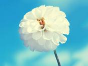 甜美系女頭軟乎乎可愛很特別 超愛用的女頭