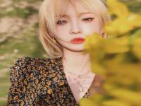 安順伴游保險經紀人甫婷焱