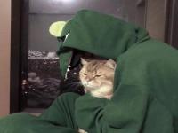 海陽伴游公關愚云霞