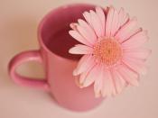 大連伴游旅行咨詢有限公司