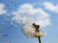 臨汾同城游電竟網(wǎng)紅韋嫣旎