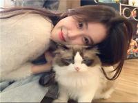 德陽商務(wù)伴游車模網(wǎng)紅卿蘋萍