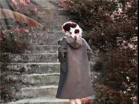 安寧導游一乘空姐扶詩如