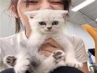 禹州旅游私人導(dǎo)游T臺(tái)車模板蓉舒